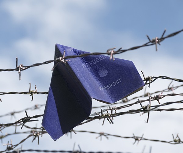 A passport is ensnared on a barbed wire fence.
