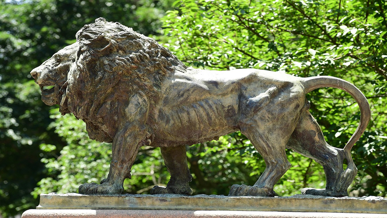 Profile image of the Columbia Lion statue 
