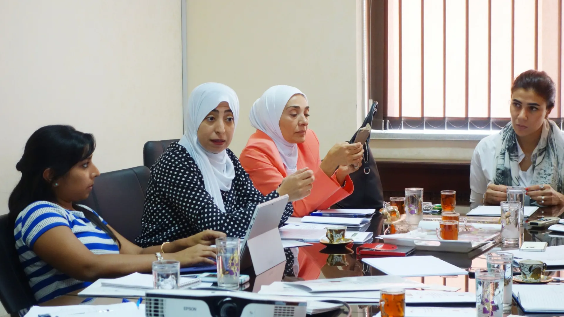 The ASPIRE team meet with medical faculty to discuss plans for data collection on health and mental health needs of Syrian refugee women.
