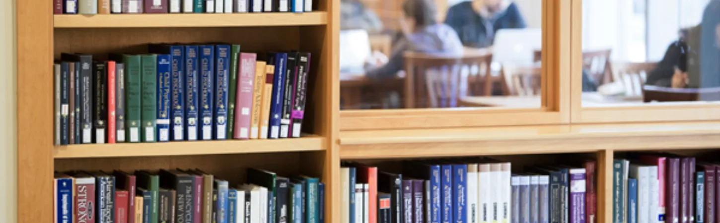 Picture of a shelf and window in the social work library.